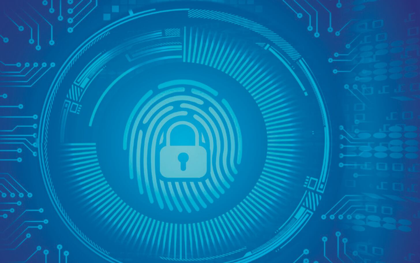 Electronic Identity Verification: A Core Platform for a Safe and Trusted Digital Era